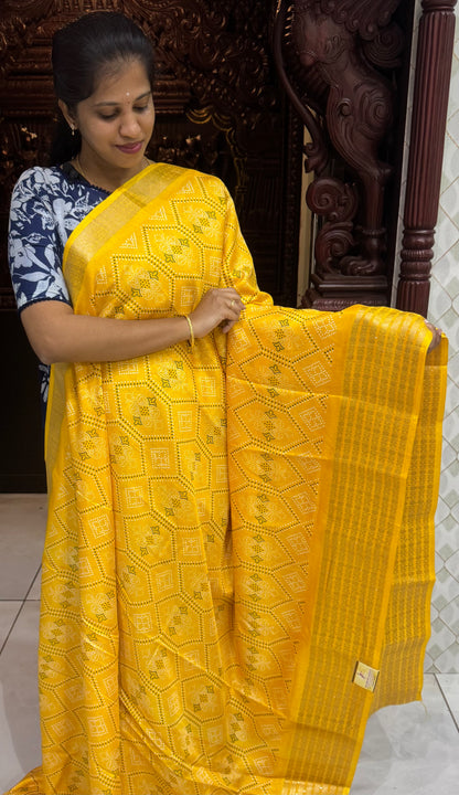 Semi Dola Silk Sarees with Sequins Border | DSM023