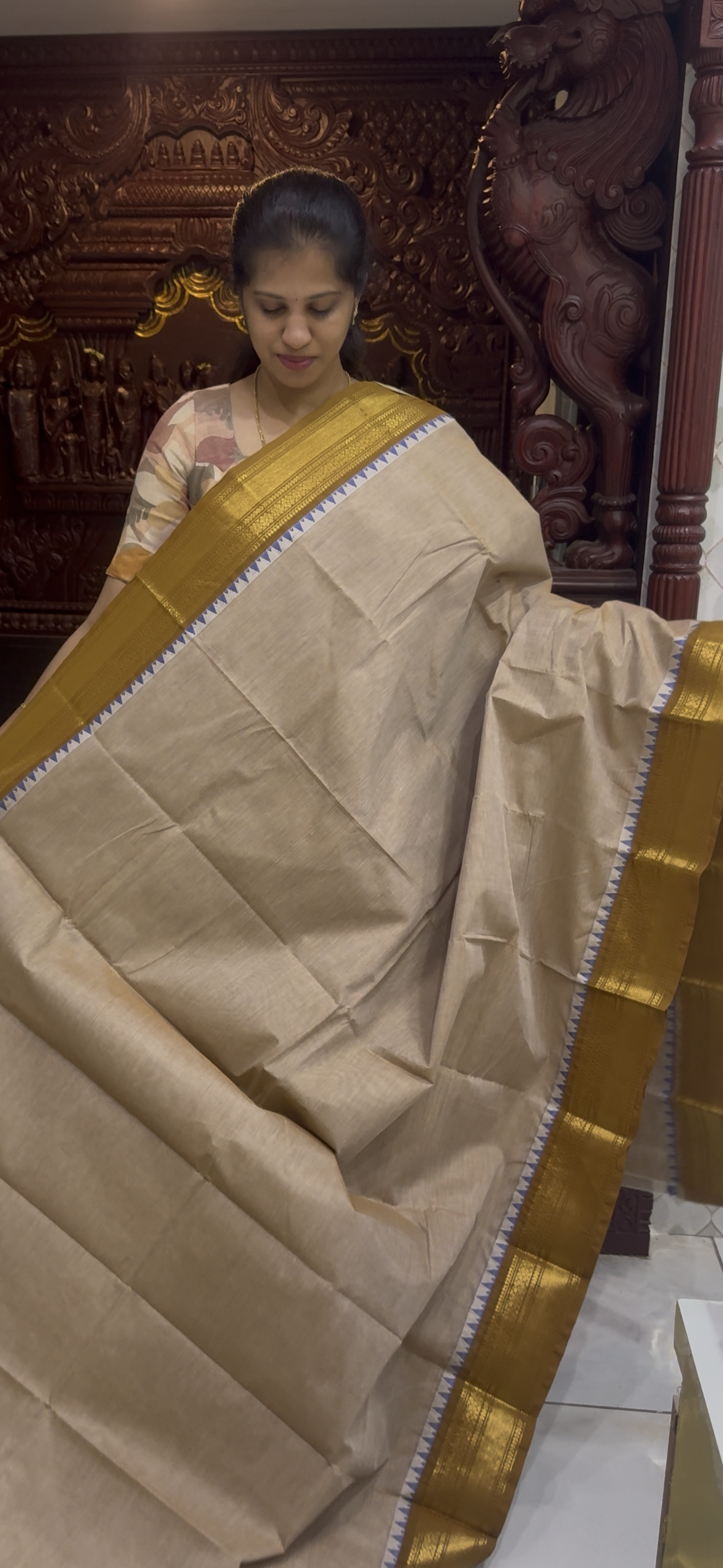 Handloom Kanchi Cotton Saree | DSAJ002