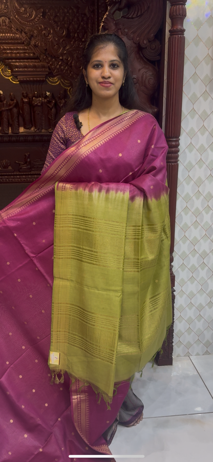 Baswada Cotton Sarees | DSM049