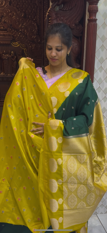 Marigold Georgette Sarees | DSM113
