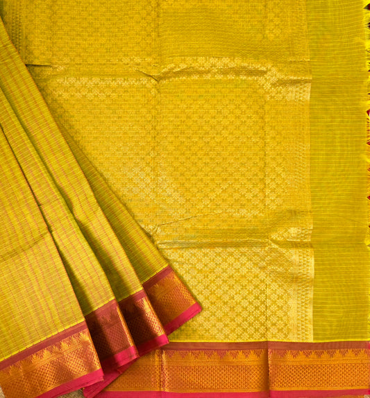 Handloom Kanchi Cotton Saree | DSAF005